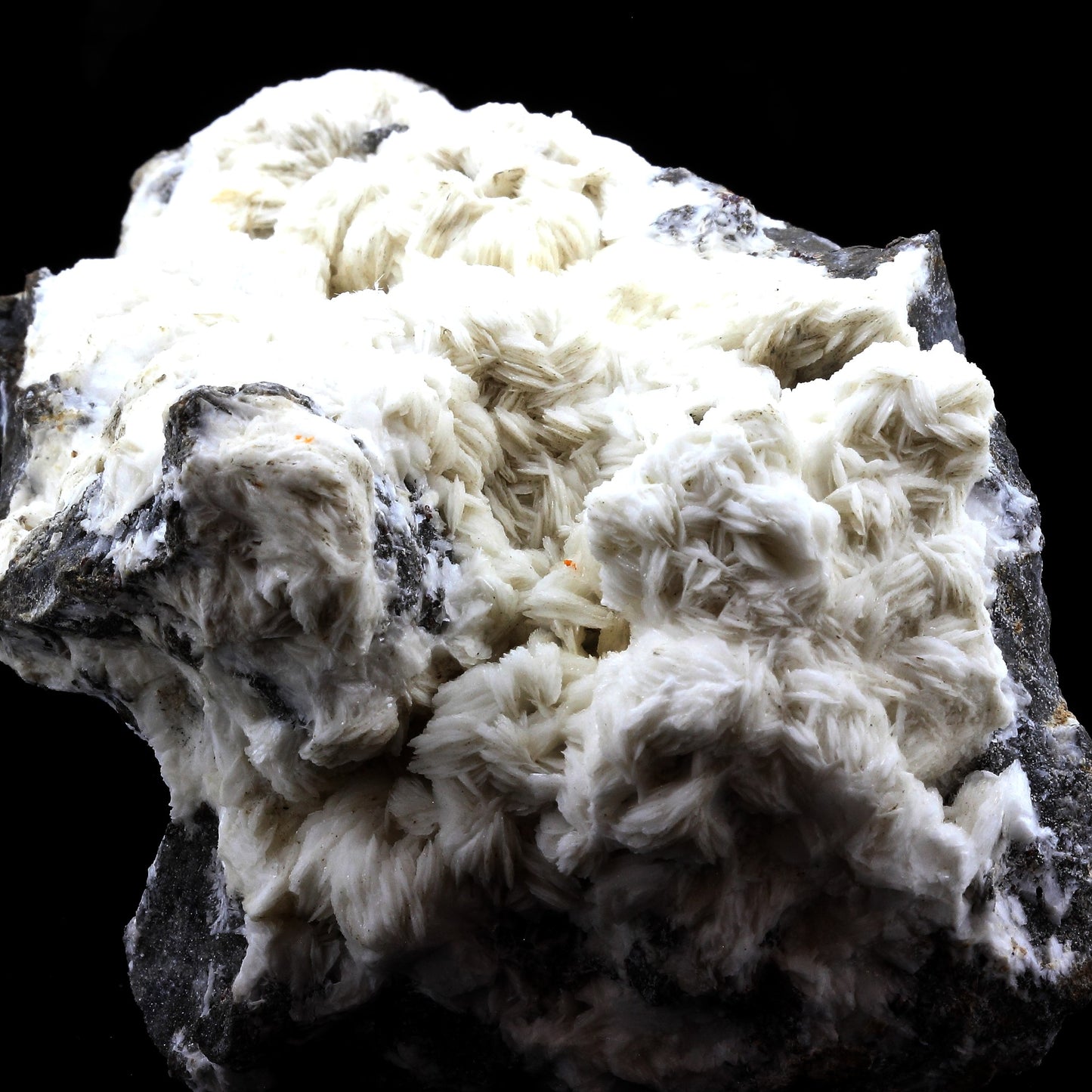 Baryte + Sphalerite. 4063.0 carats. Les Malines, Saint-Laurent-le-Minier, Occitanie, France