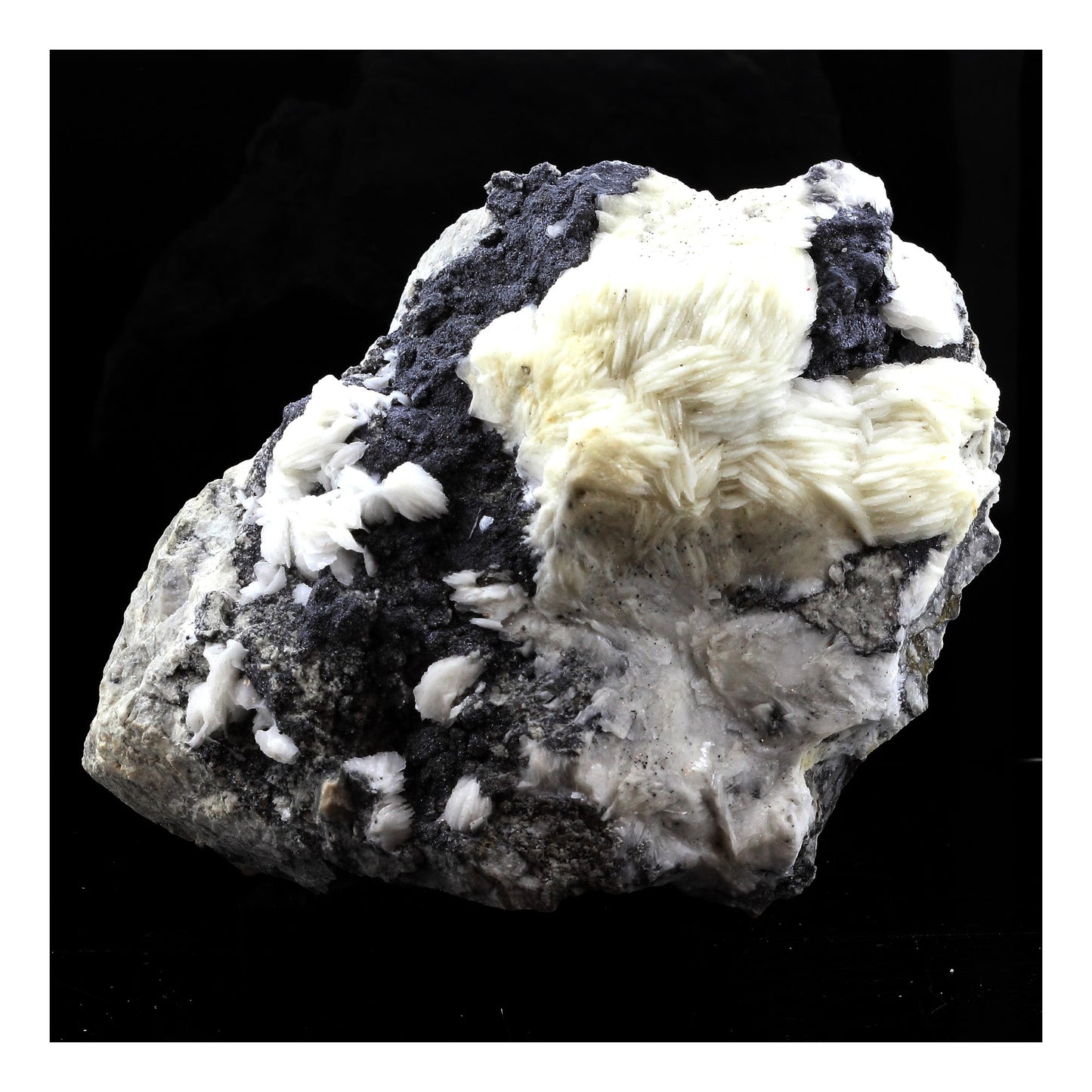 Baryte + Sphalerite. 2567.0 carats. Les Malines, Saint-Laurent-le-Minier, Occitanie, France