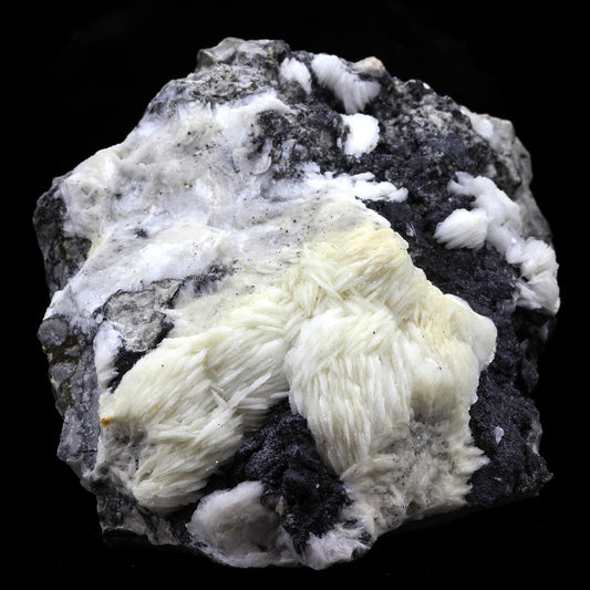 Baryte + Sphalerite. 2567.0 carats. Les Malines, Saint-Laurent-le-Minier, Occitanie, France