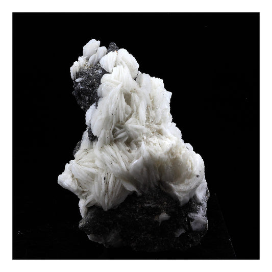 Baryte + Sphalerite. 189.0 carats. Les Malines, Saint-Laurent-le-Minier, Occitanie, France