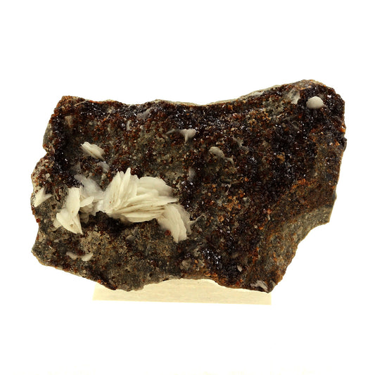 Baryte + Sphalerite. 289.0 carats. Les Cèdres, Saint-Laurent-le-Minier, Occitanie, France