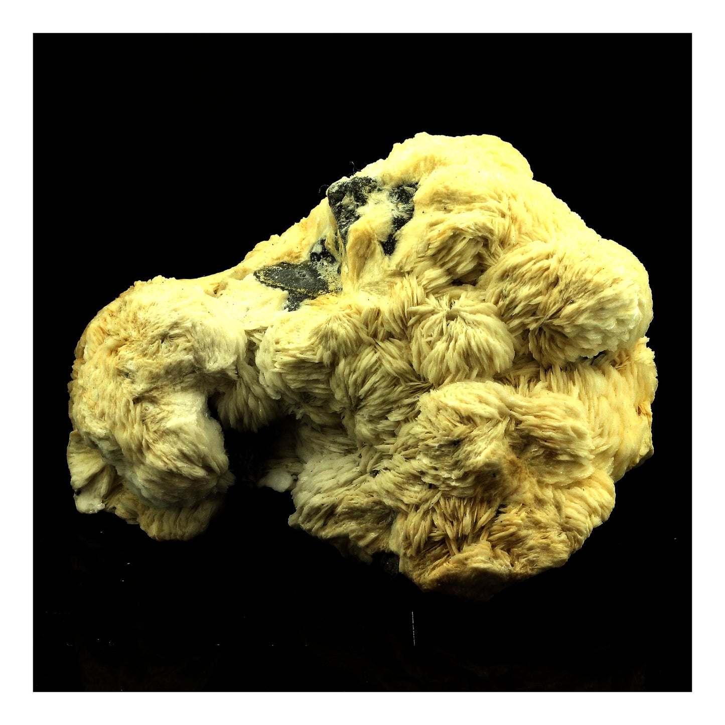 Baryte. 2619.0 carats. Les Cèdres, Saint-Laurent-le-Minier, Occitanie, France