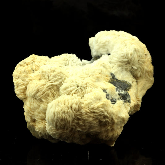 Baryte. 2619.0 carats. Les Cèdres, Saint-Laurent-le-Minier, Occitanie, France