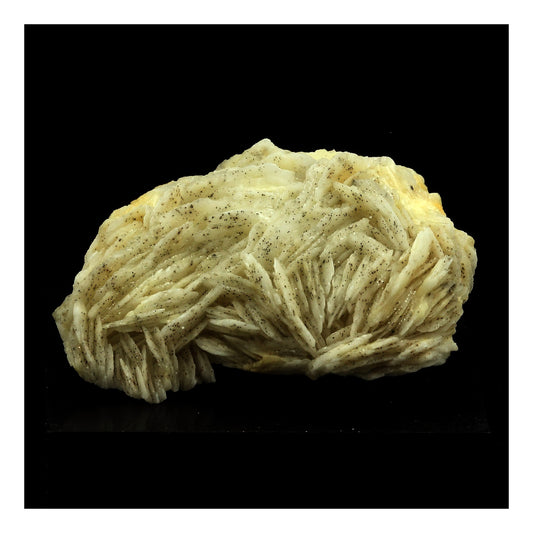 Baryte. 328.0 carats. Les Cèdres, Saint-Laurent-le-Minier, Occitanie, France