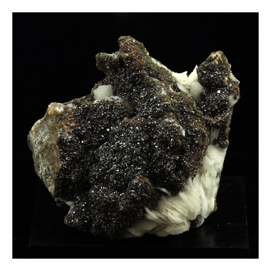 Baryte + Sphalerite. 567.0 carats. Les Cèdres, Saint-Laurent-le-Minier, Occitanie, France