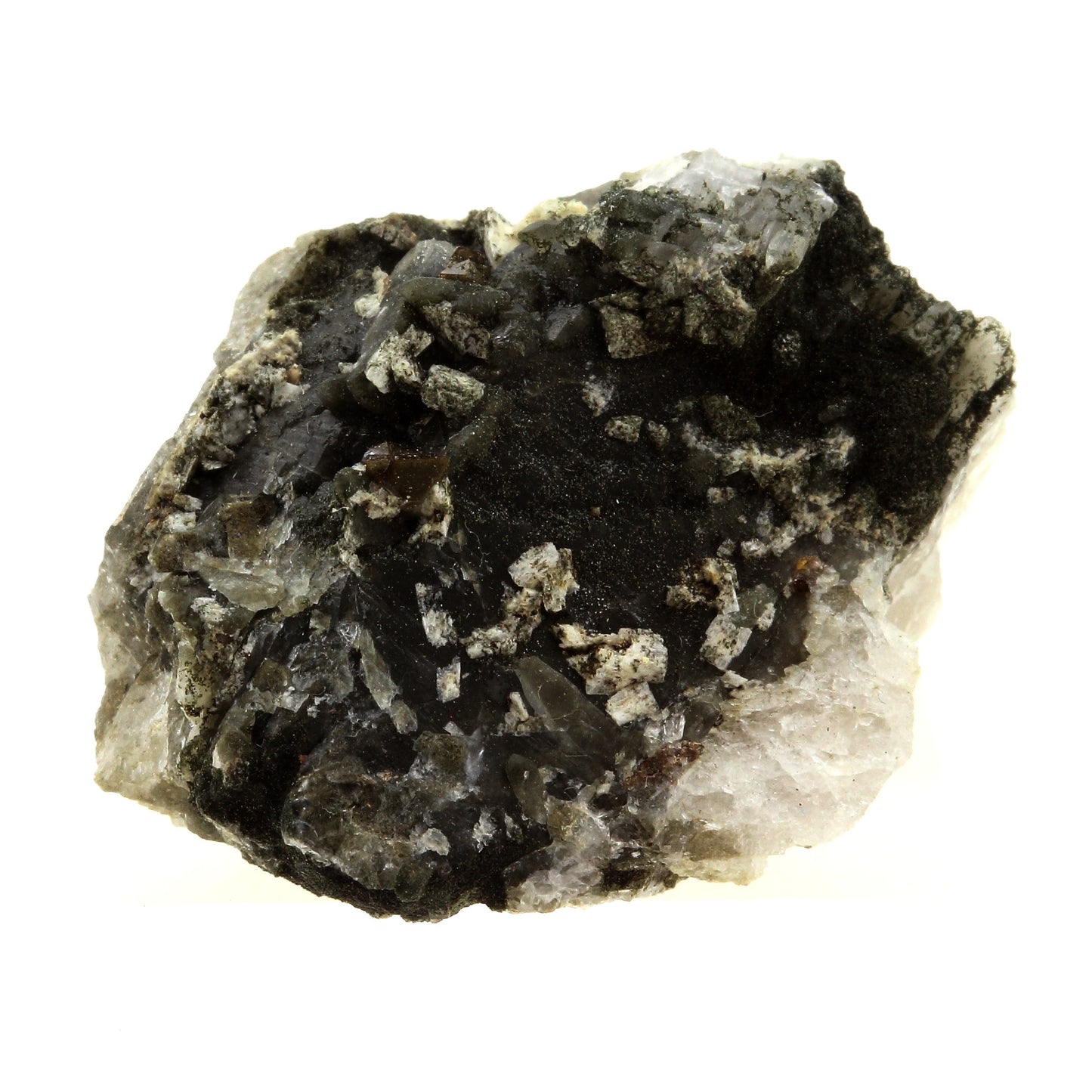 Anatase + Quartz + Chlorite. 127.0 carats. Les Rousses, Vaujany, Isère, France