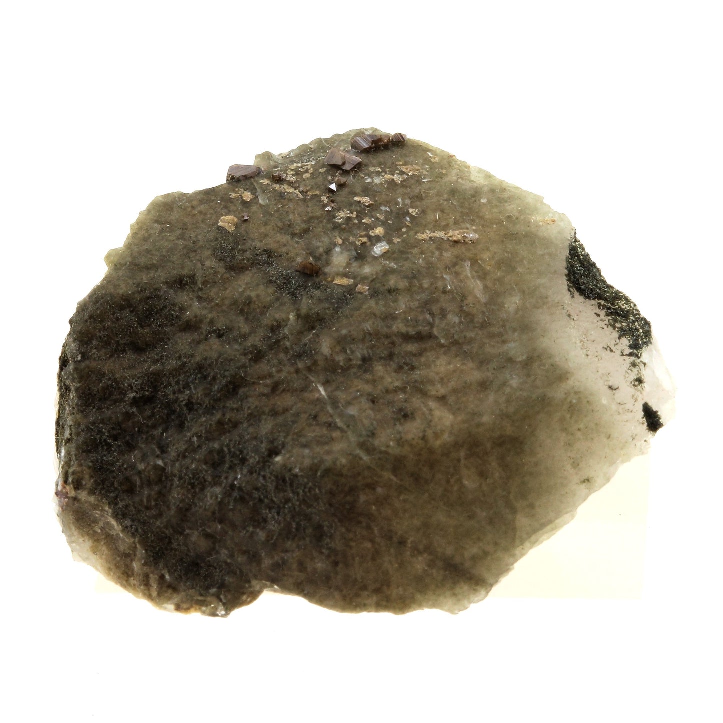 Anatase + Quartz + Chlorite. 128.0 carats. Les Rousses, Vaujany, Isère, France