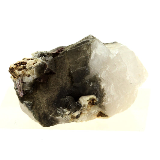 Anatase + Quartz + Chlorite. 55.0 carats. Les Rousses, Vaujany, Isère, France