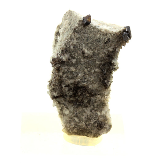 Anatase + Quartz + Chlorite. 40.0 carats. Les Rousses, Vaujany, Isère, France