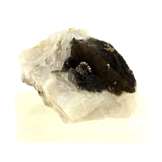 Anatase + Quartz + Chlorite. 66.0 carats. Les Rousses, Vaujany, Isère, France
