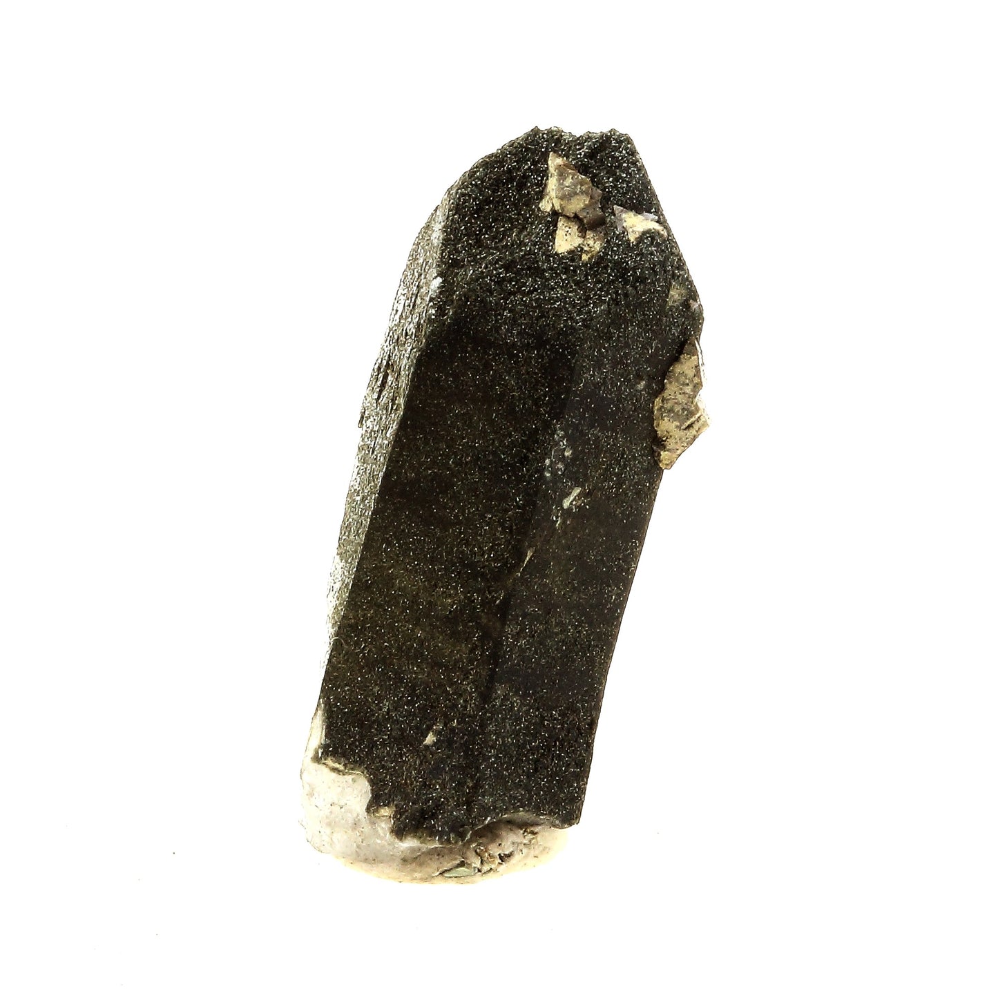 Anatase + Quartz + Chlorite. 36.0 carats. Les Rousses, Vaujany, Isère, France