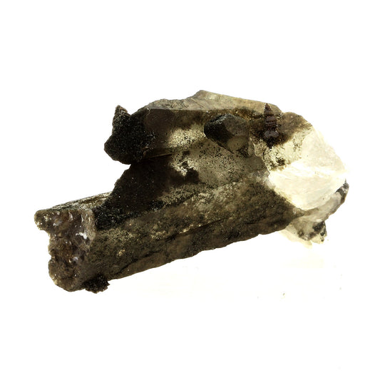 Anatase + Quartz + Chlorite. 80.0 carats. Les Rousses, Vaujany, Isère, France