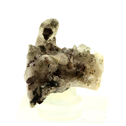 Anatase + Quartz + Chlorite. 65.0 carats. Les Rousses, Vaujany, Isère, France