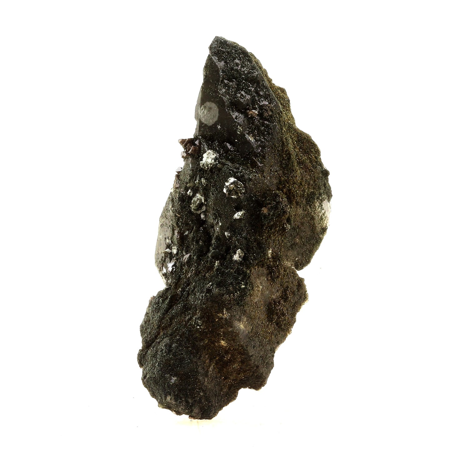 Anatase + Quartz + Chlorite. 135.0 carats. Les Rousses, Vaujany, Isère, France