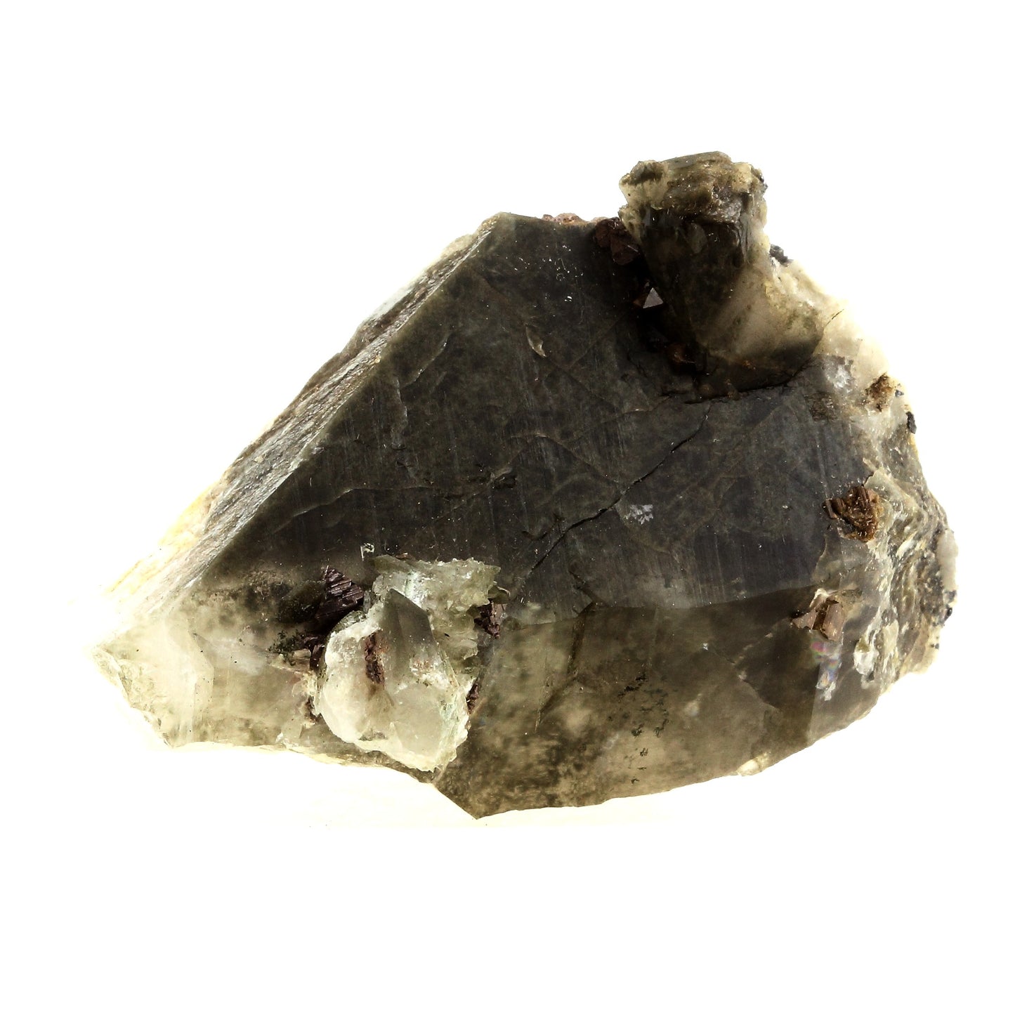 Anatase + Quartz + Chlorite. 448.0 carats. Les Rousses, Vaujany, Isère, France