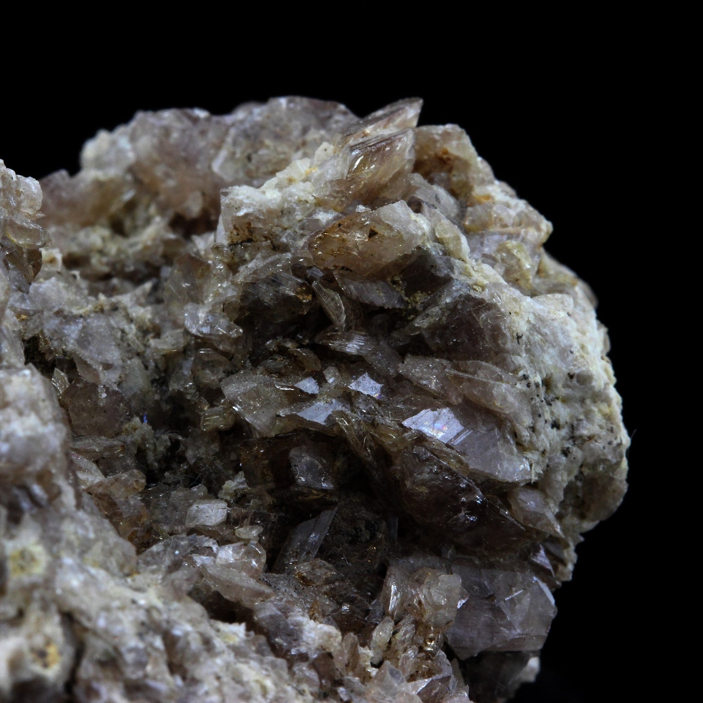 Axinite. 837.0 carats. Chamrousse, Belledonne, Isère, France