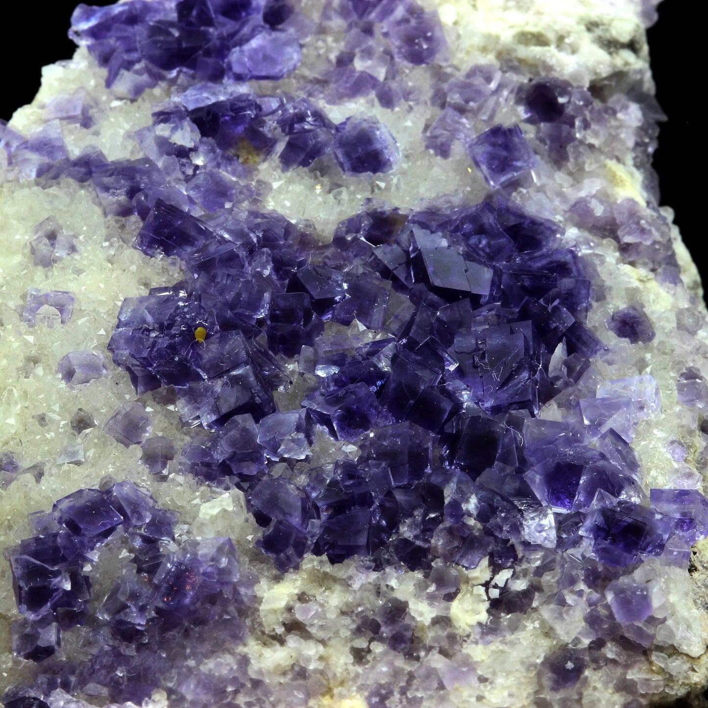 Fluorite + Baryte + Quartz. 1280.0 carats. La Cabaña, Berbes, Asturias, Espagne