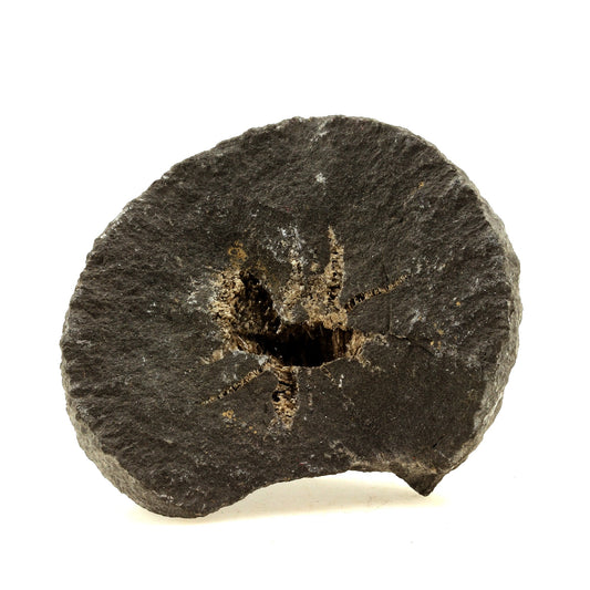 Septaria, Baryte. 3609.0 carats. Col de Pré Guittard, Drôme, France