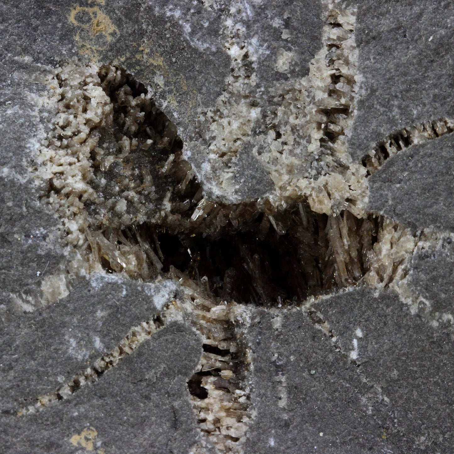 Septaria, Baryte. 3609.0 carats. Col de Pré Guittard, Drôme, France