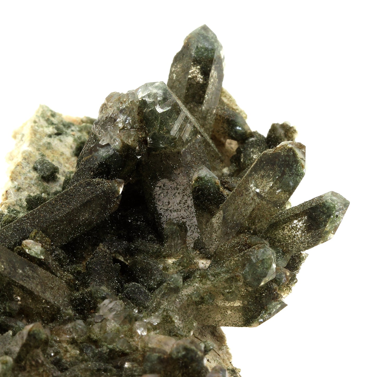 Quartz + Chlorite. 445.0 carats. Massif du Mont-Blanc, France