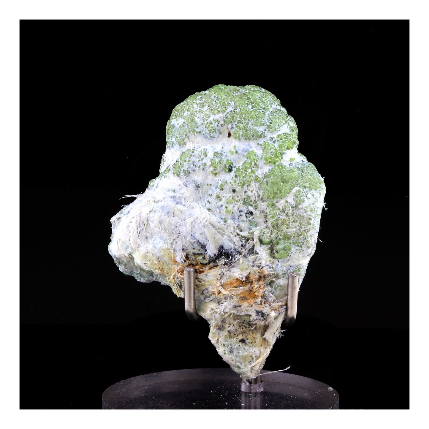Grenat démantoïde. 130.0 carats. Malenco Valley, Lombardy, Italie