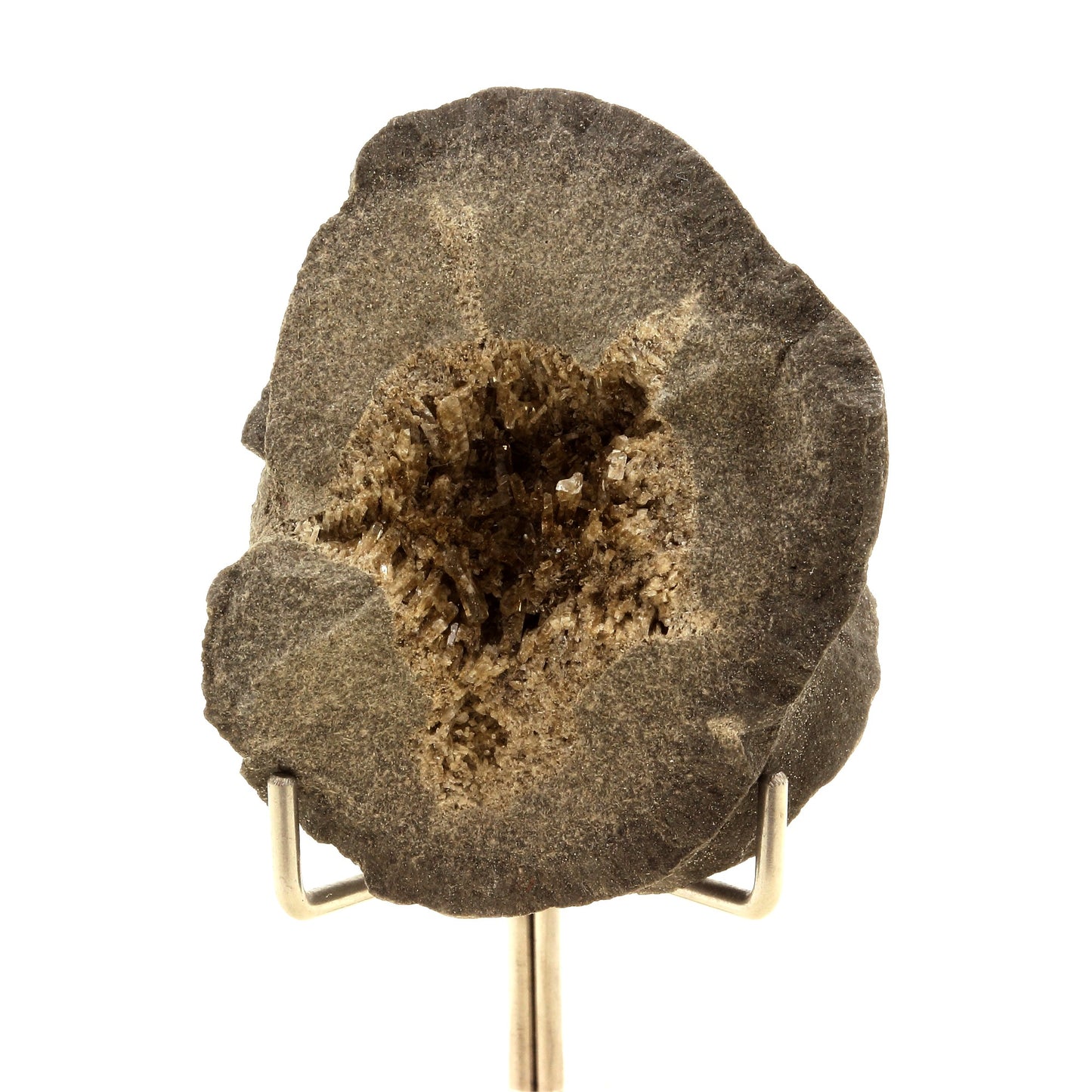 Septaria, Baryte. 291.0 carats. Col de Pré Guittard, Drôme, France