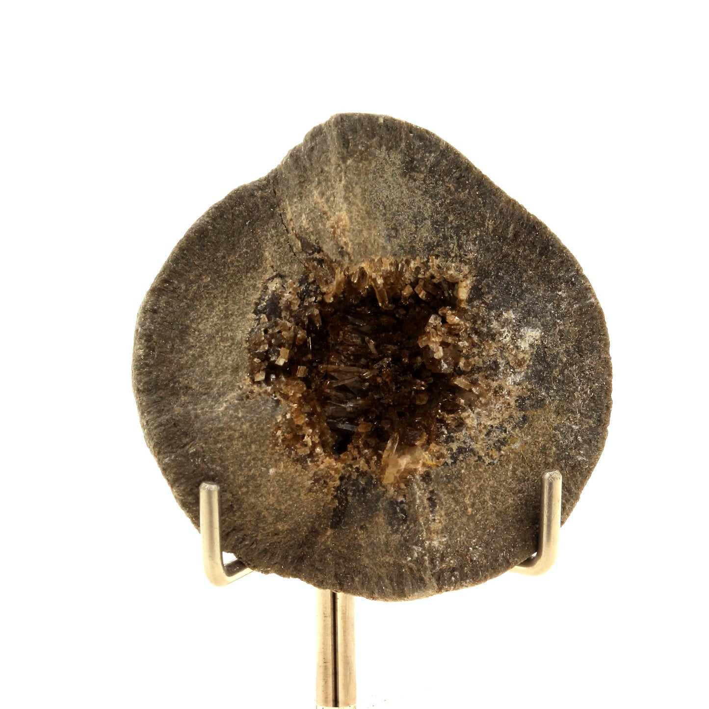 Septaria, Baryte. 230.0 carats. Col de Pré Guittard, Drôme, France