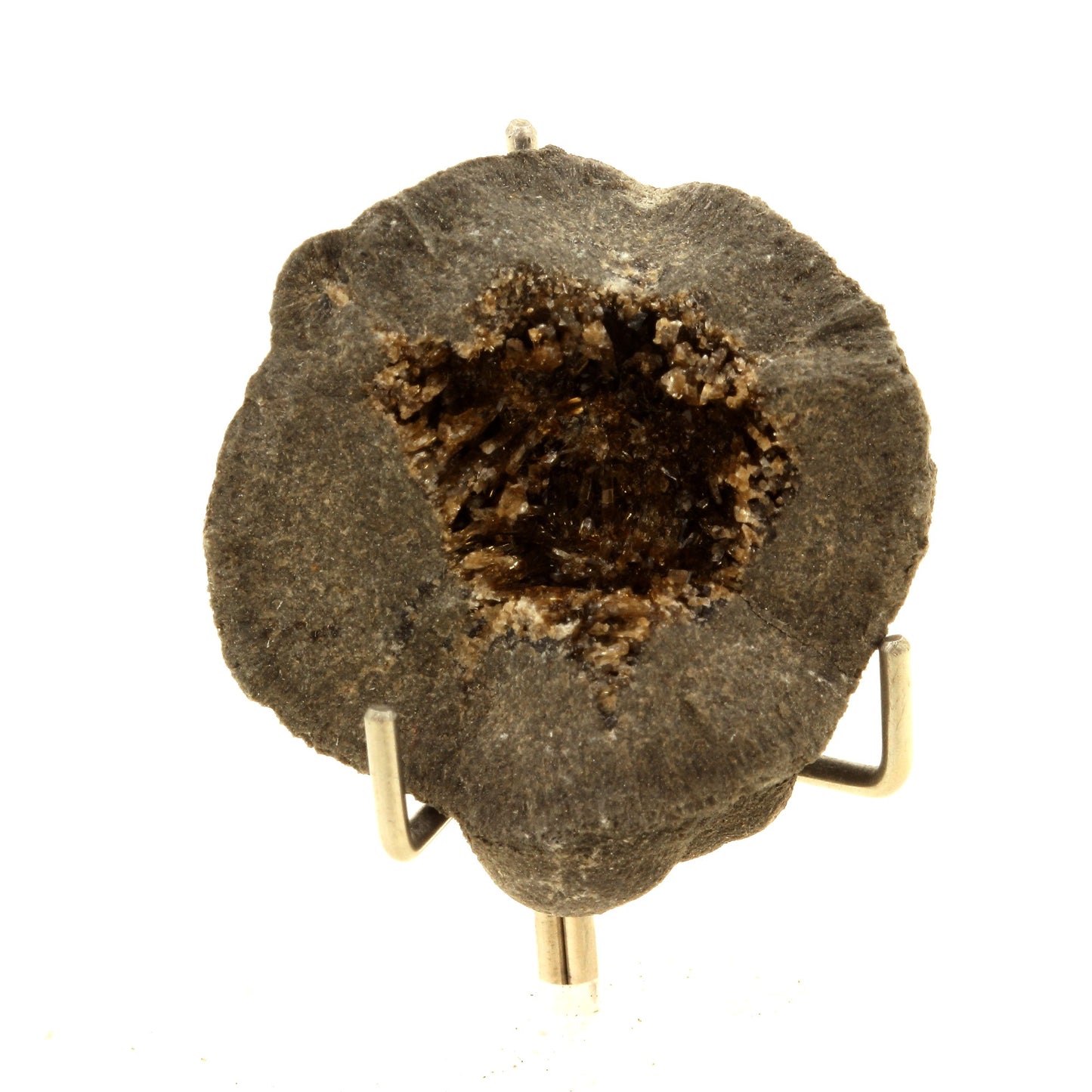 Septaria, Baryte. 186.0 carats. Col de Pré Guittard, Drôme, France