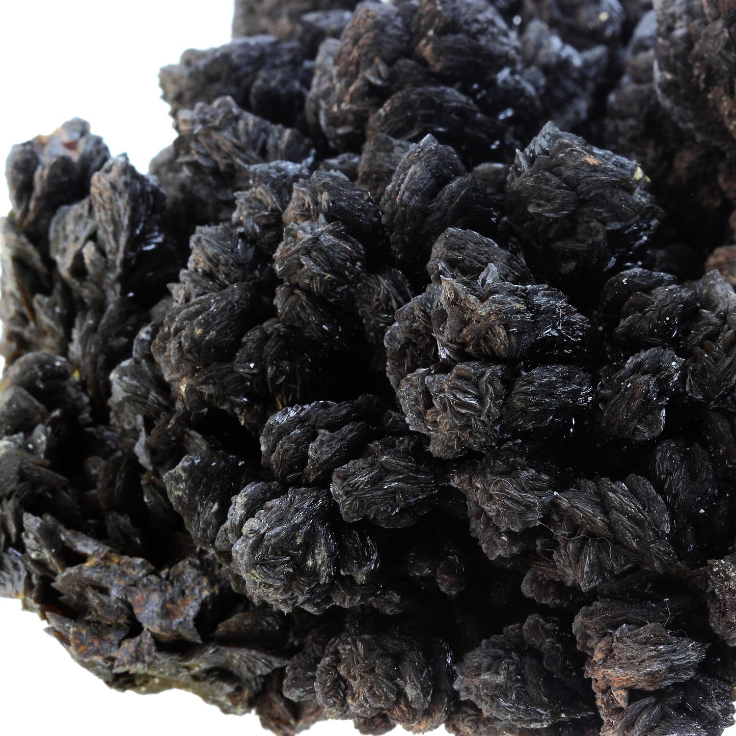 Cuprian Descloizite, 4211.5 carats, Otjozondjupa Region, Namibie