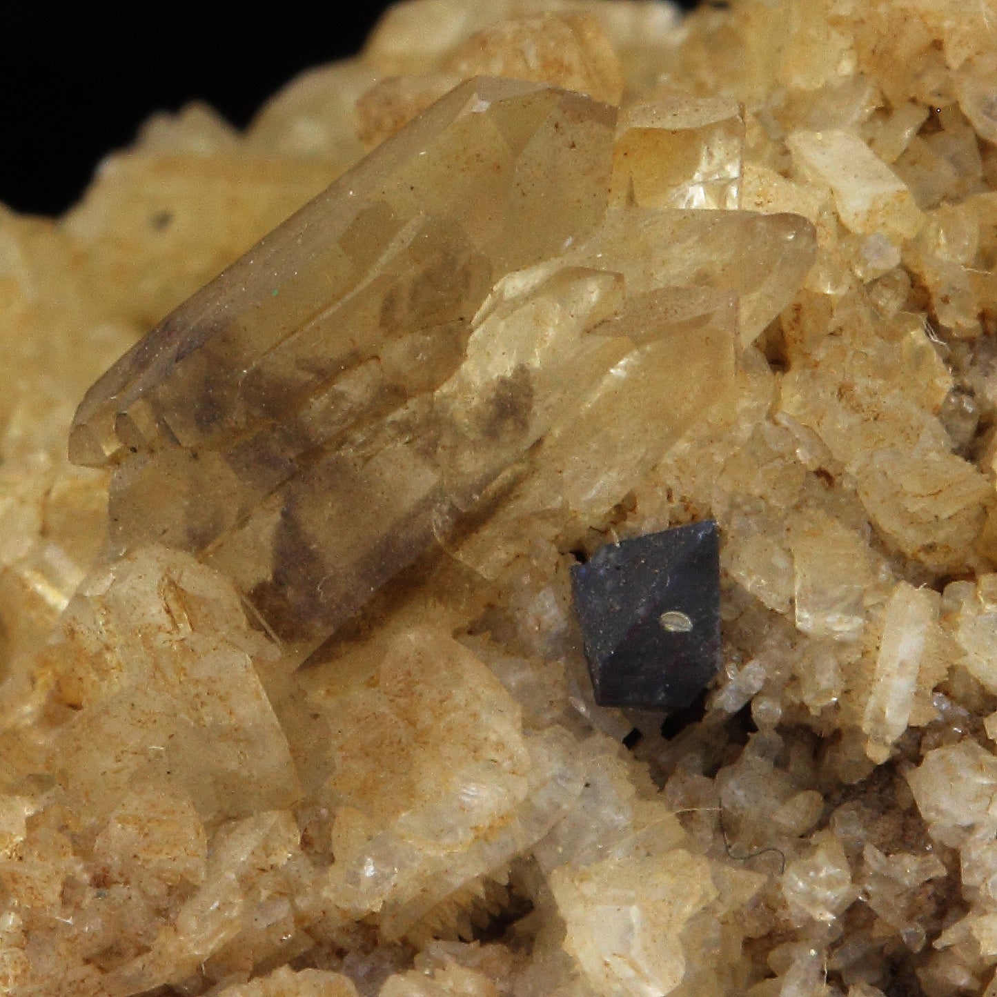 Quartz + Anatase. 52.0 carats. Saint Christophe-en-Oisans, France