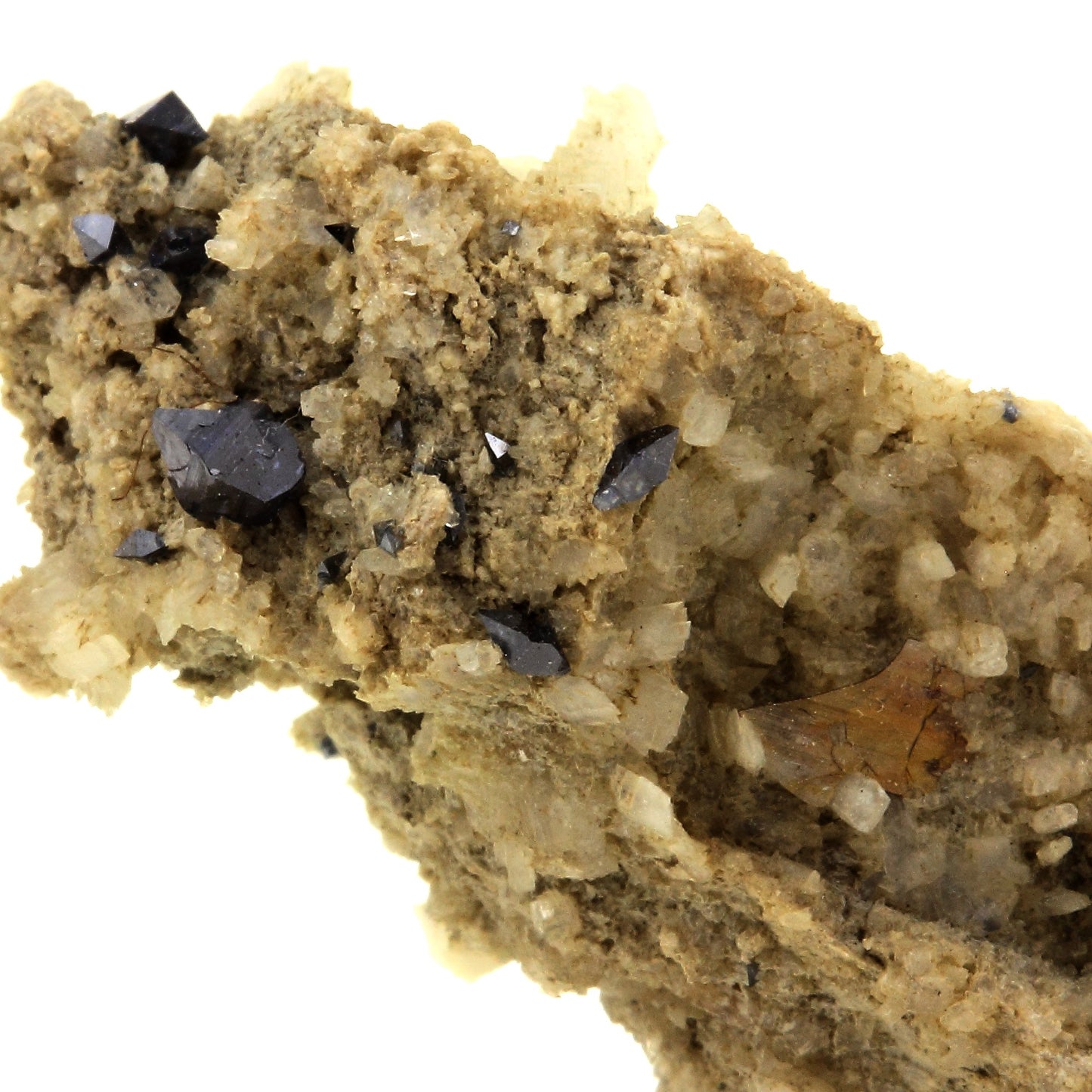 Anatase + Brookite. 26.5 carats. Saint Christophe-en-Oisans, France