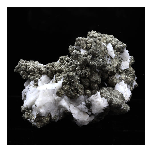 Baryte + Pyrite. 366.0 carats. Les Cèdres, Saint-Laurent-le-Minier, Occitanie, France