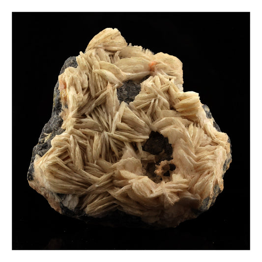 Galène + Baryte. 1627.0 carats. Mibladen Mining District, Midelt, Maroc