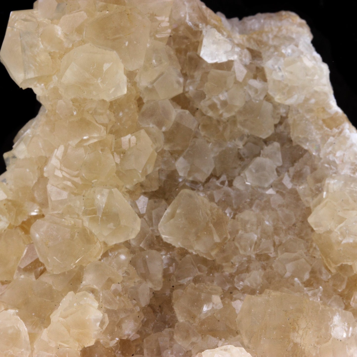Calcite, 1114.5 carats, Bagard Quarry, Bagard, Gard, France