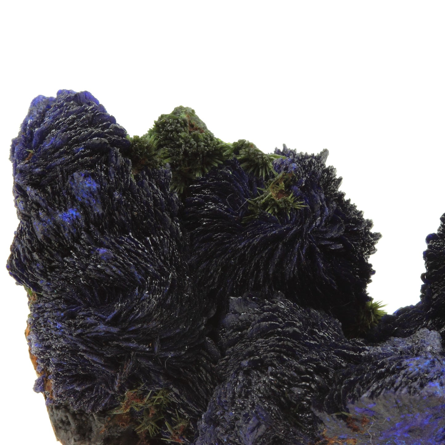 Azurite + Olivenite. 616.0 carats. Tazalaght, Souss-Massa, Maroc