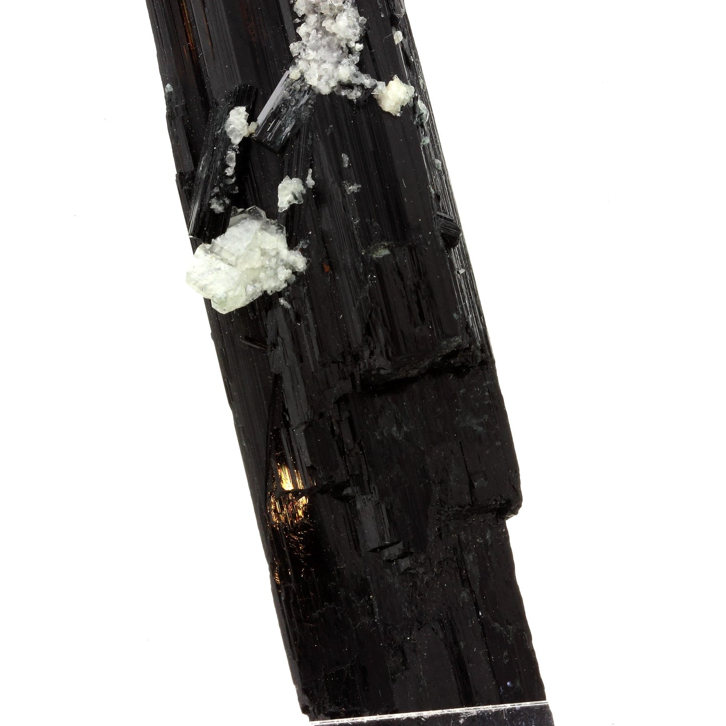 Ferro-actinolite, 547.5 carats, Shigar District, Gilgit-Baltistan, Pakistan