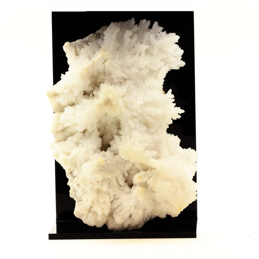 Aragonite. 1356.0 carats. Mexique