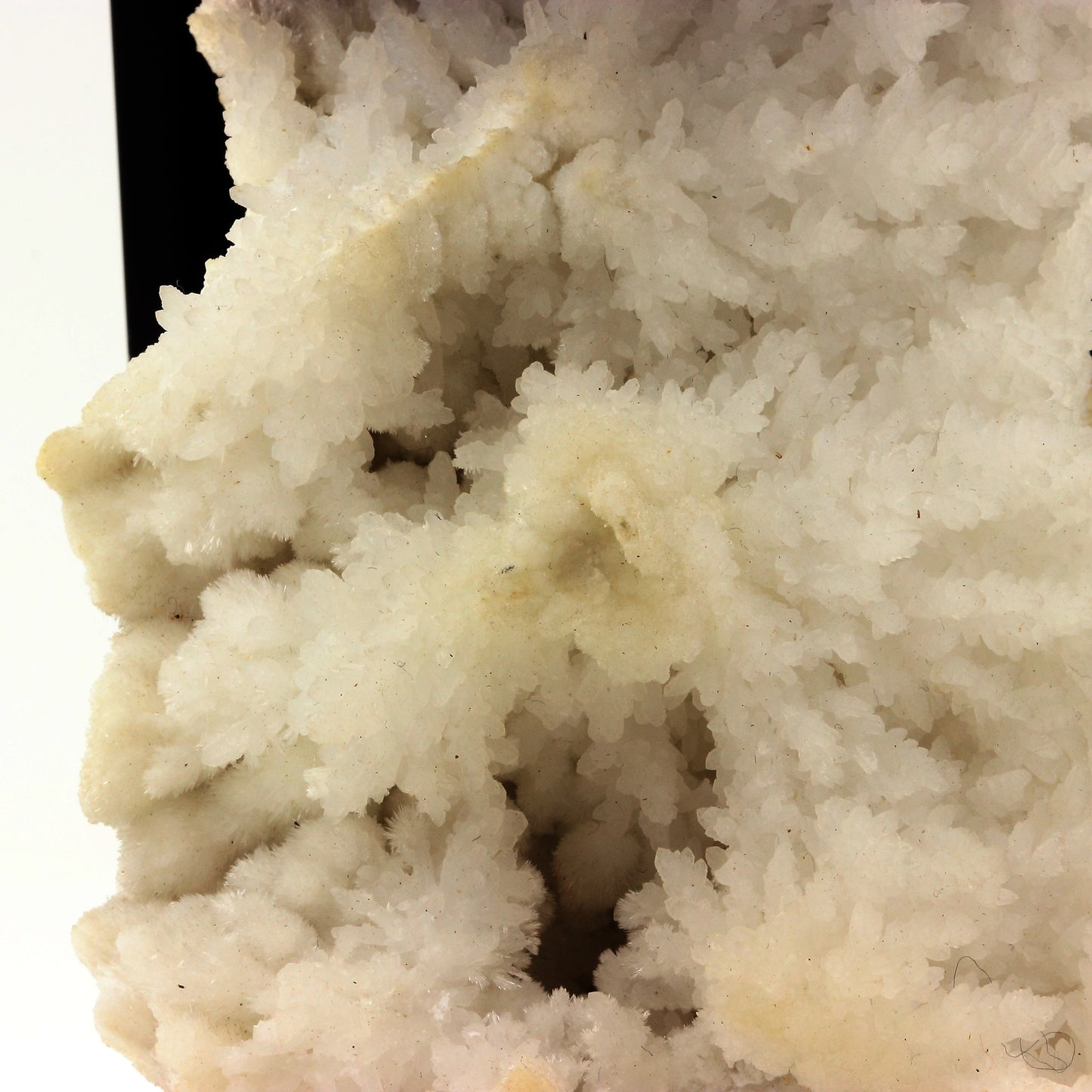 Aragonite. 1356.0 carats. Mexique