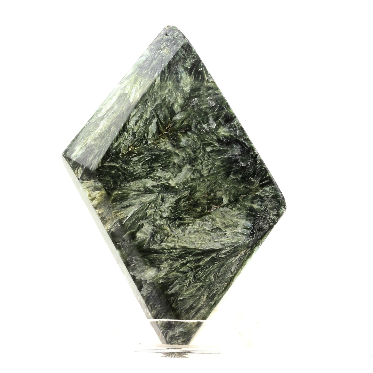 Seraphinite. 1120.0 carats. Zheleznogorsk, Irkutsk Oblast, Russie
