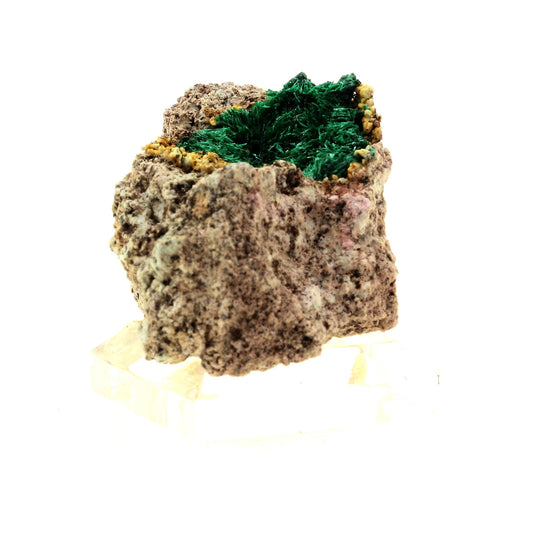 Brochantite. 170.0 carats. Kabolela Mine, Lualaba, Congo