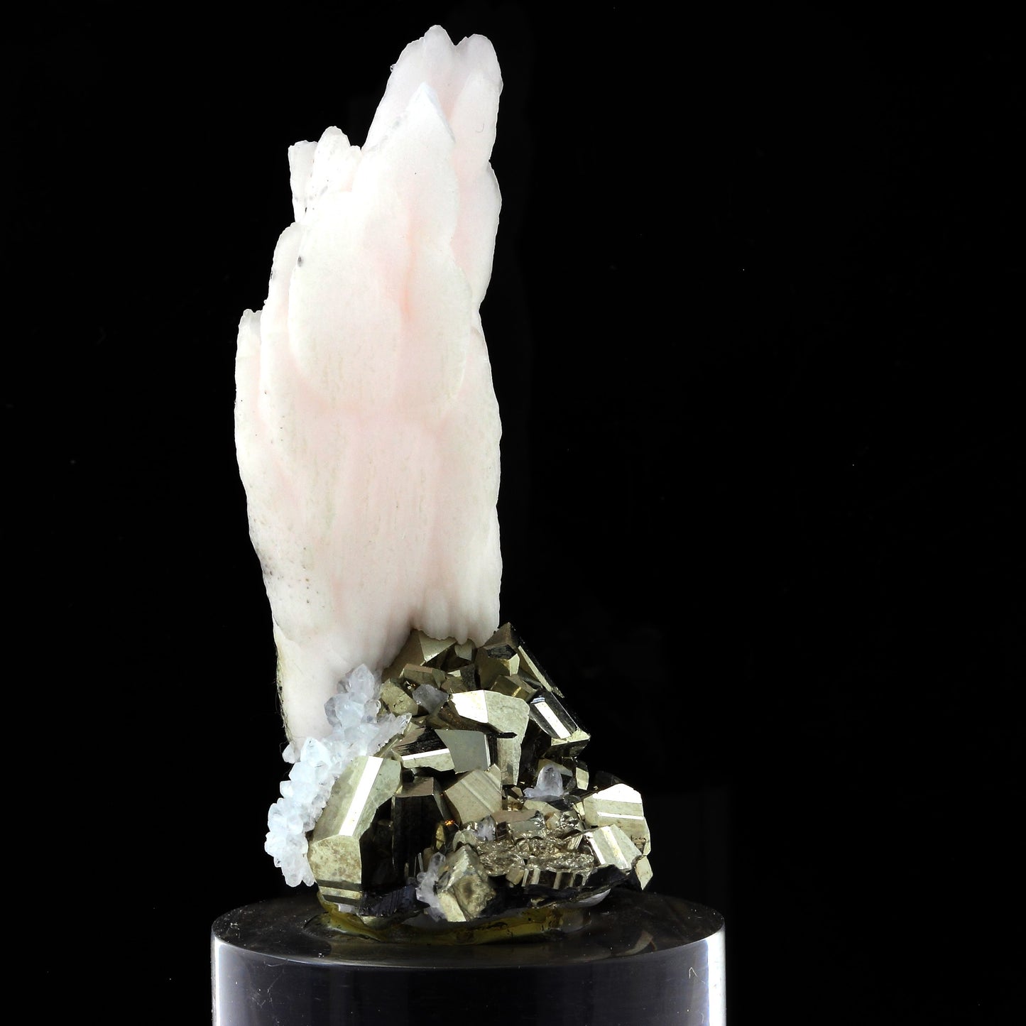 Cobaltoan Calcite + Pyrite. 471.0 carats. Huanzala Mine, Pérou