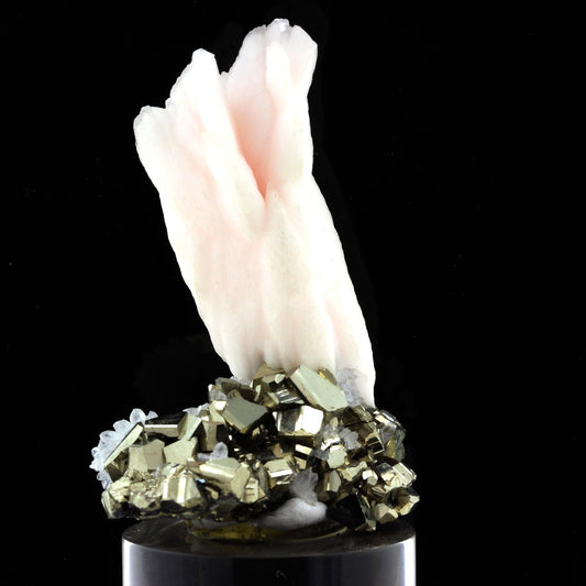Cobaltoan Calcite + Pyrite. 471.0 carats. Huanzala Mine, Pérou