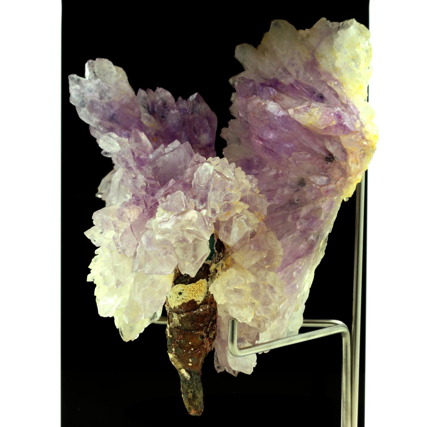 Quartz Améthyste. 1557.0 carats. Iraí, Rio Grande do Sul, Brésil