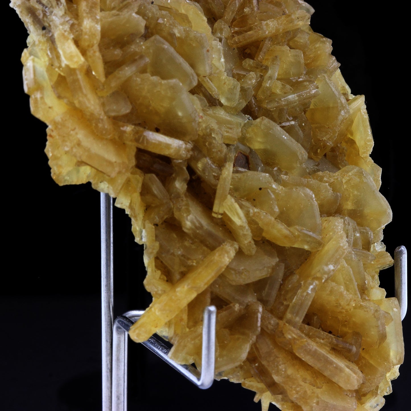 Baryte. 774.0 carats. St George les Bains, Ardèche, France