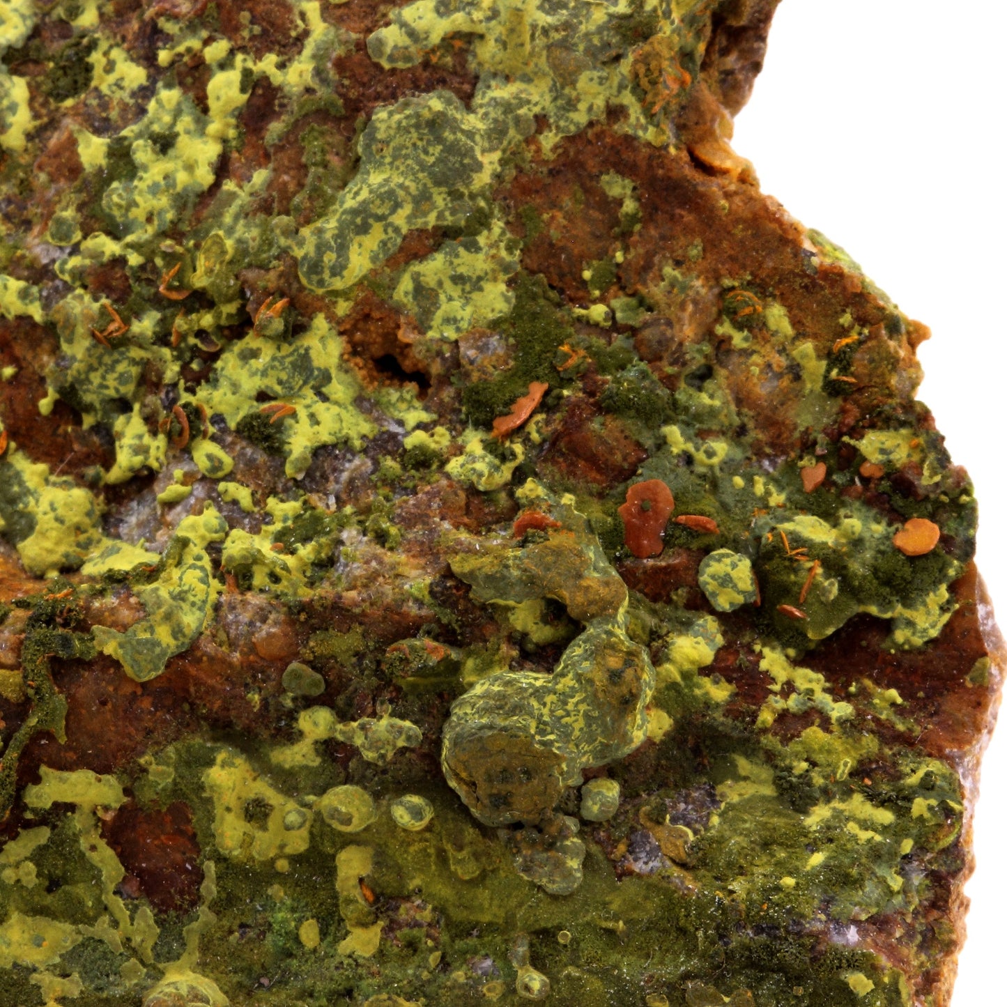 Pyromorphite + Crocoite. 742.5 carats. Nontron, Dordogne, France