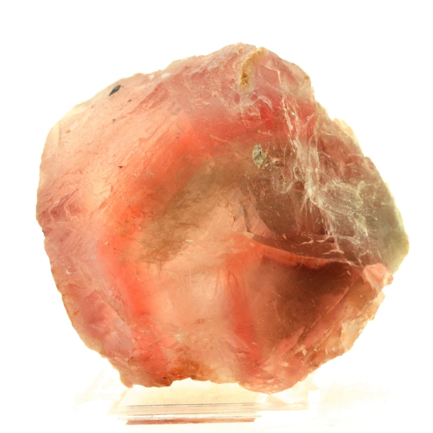 Fluorite rose. 2707.0 carats. Chifeng, Inner Mongolia, Chine