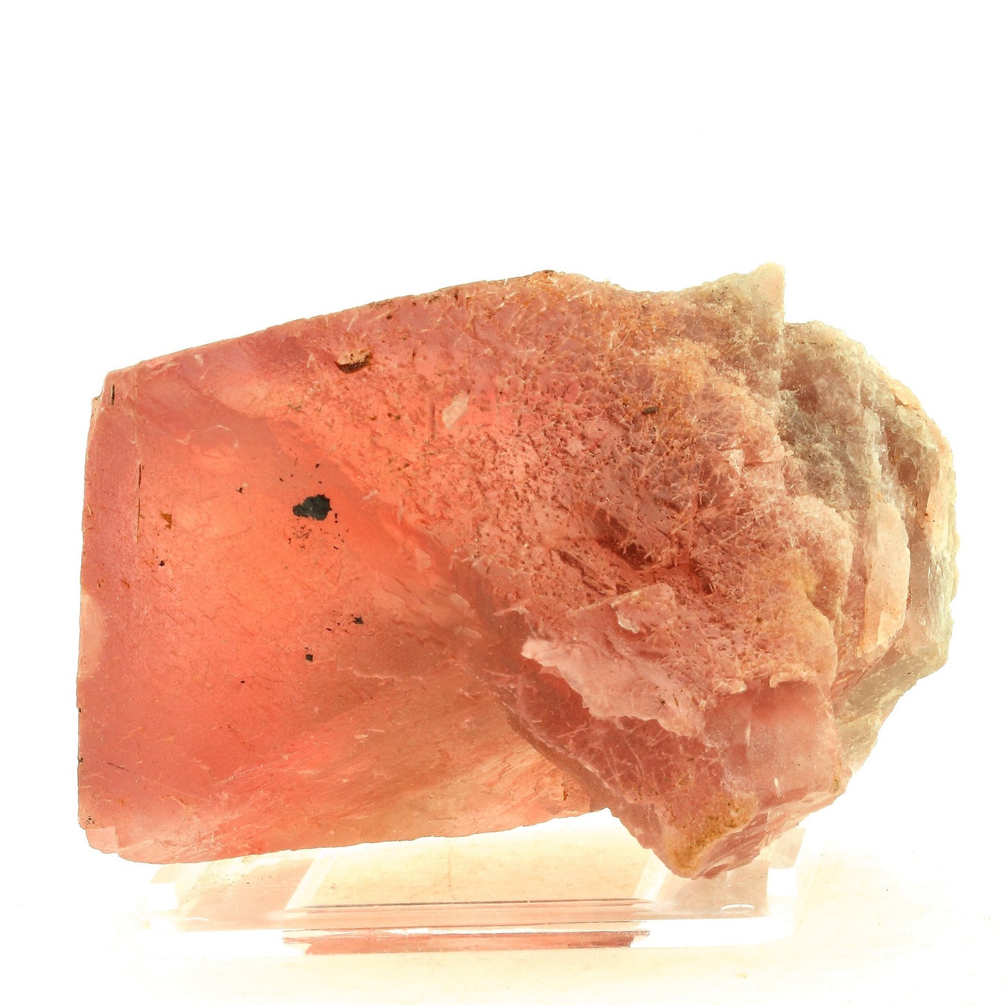 Fluorite rose. 2707.0 carats. Chifeng, Inner Mongolia, Chine