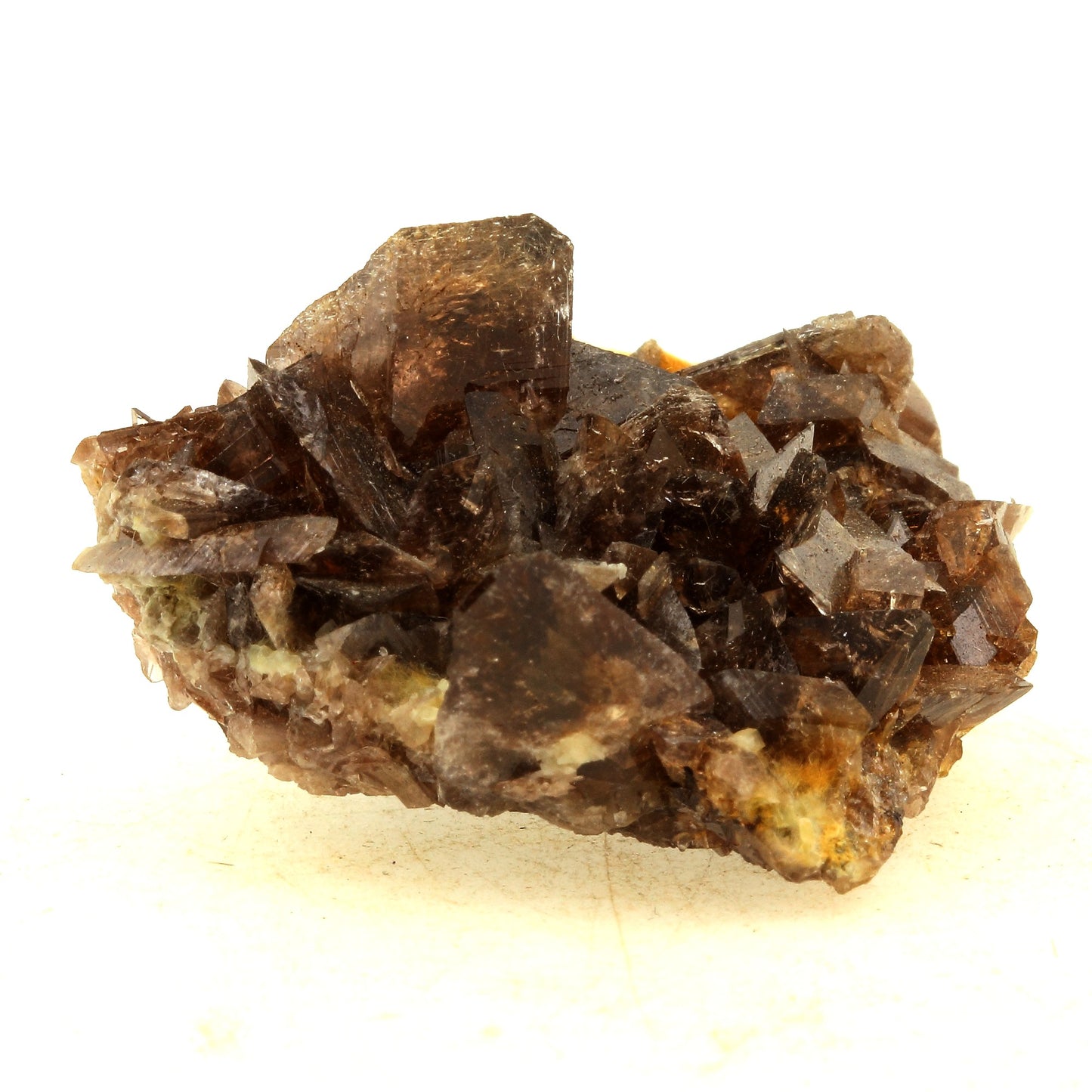 Axinite. 166.0 carats. La Rampe des Commeres, Bourg d'Oisans, France