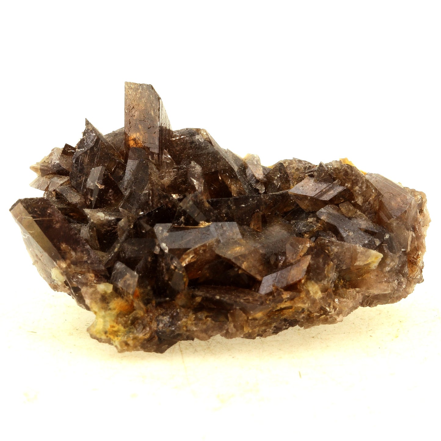 Axinite. 166.0 carats. La Rampe des Commeres, Bourg d'Oisans, France