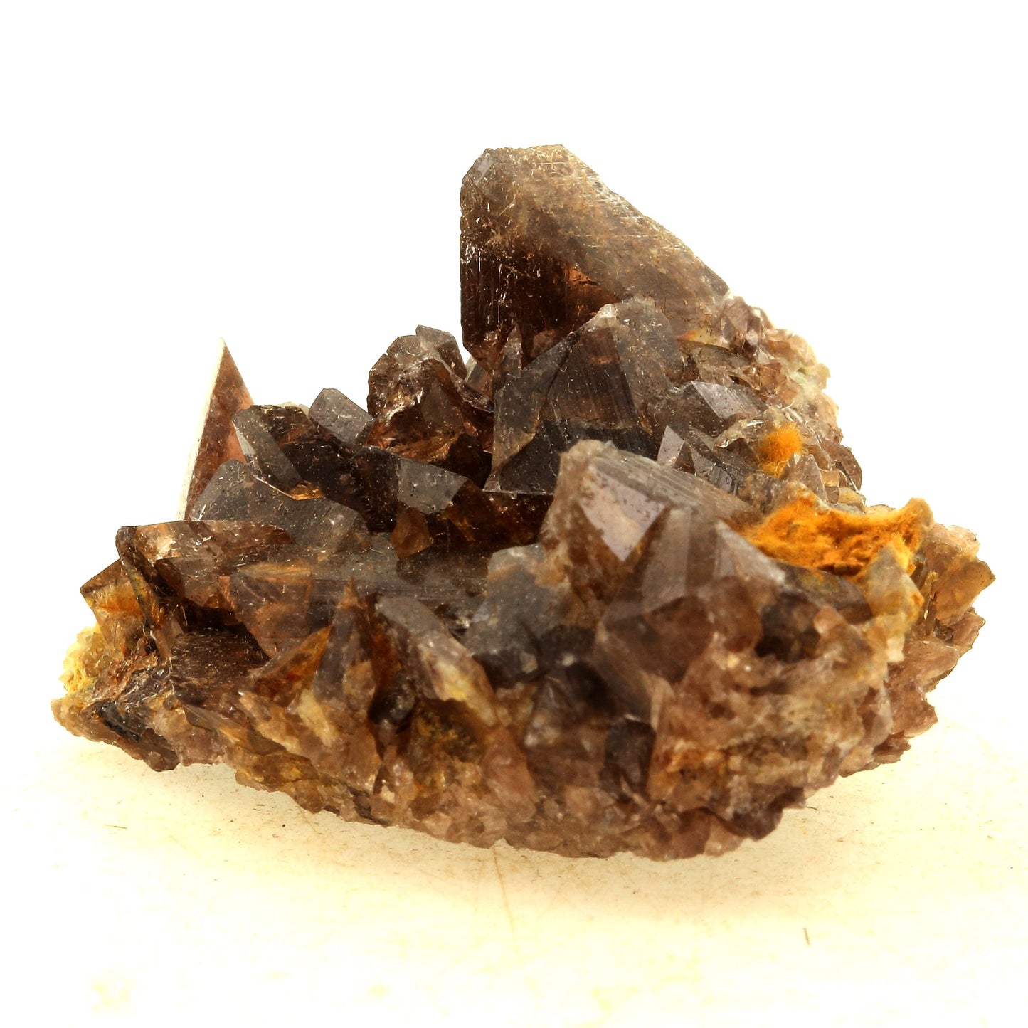 Axinite. 166.0 carats. La Rampe des Commeres, Bourg d'Oisans, France